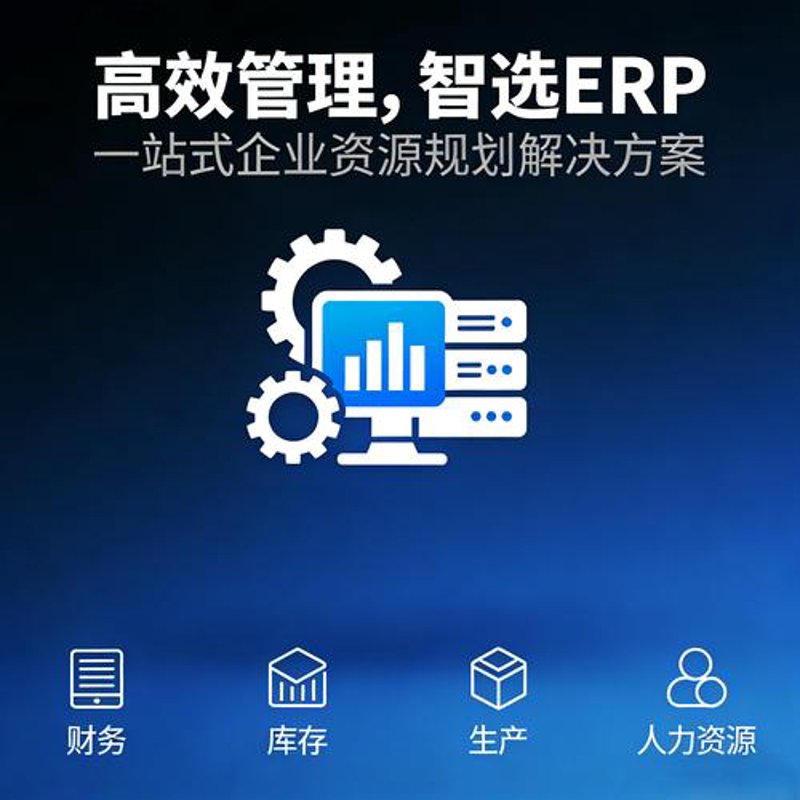 软件定制开发:企业数字化转型的快速通道